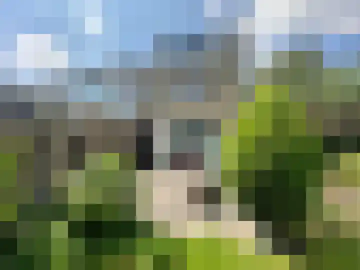 Van Cranenburchlaan 36 Wassenaar thumbnail 19