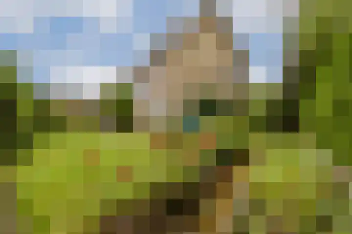 Van Cranenburchlaan 36 Wassenaar thumbnail 20