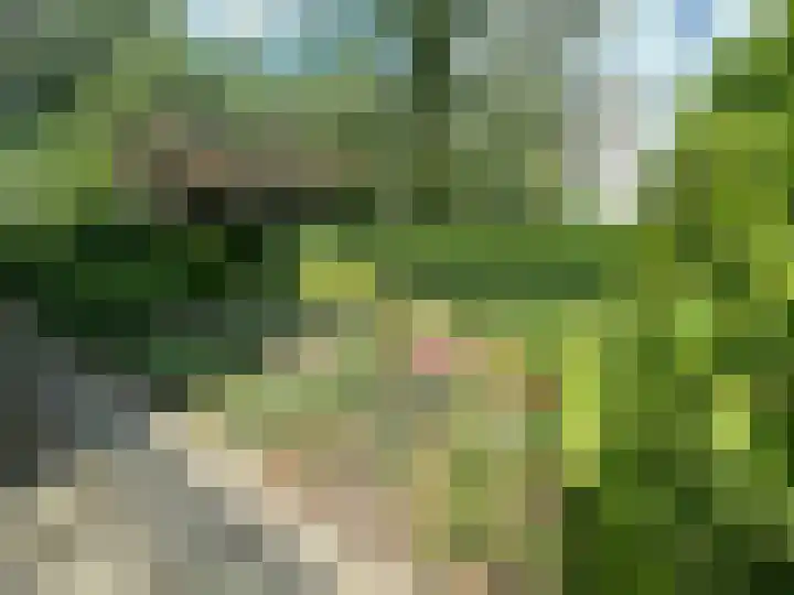 Van Cranenburchlaan 36 Wassenaar thumbnail 21