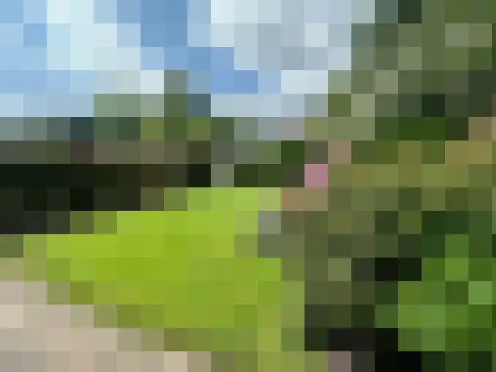 Van Cranenburchlaan 36 Wassenaar thumbnail 22