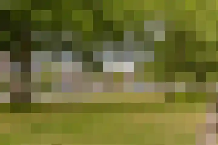 Van Cranenburchlaan 36 Wassenaar thumbnail 23