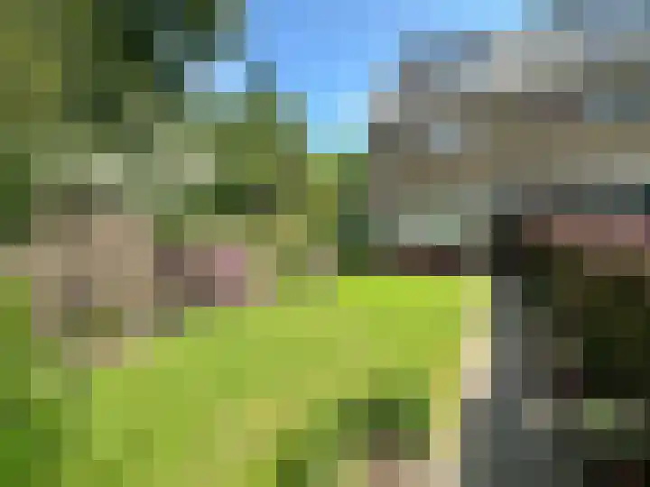 Van Cranenburchlaan 36 Wassenaar thumbnail 30