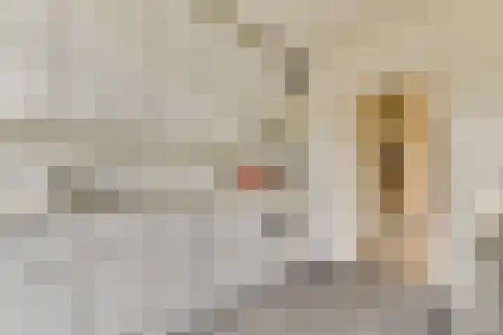 Van Cranenburchlaan 36 Wassenaar thumbnail 8