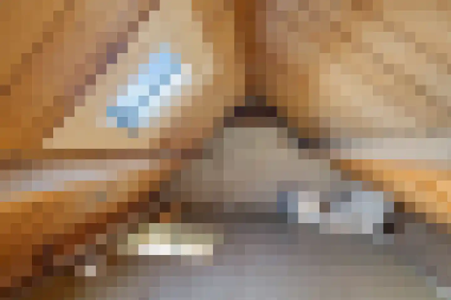 van Cronenburchstraat 11 Leeuwarden thumbnail 24