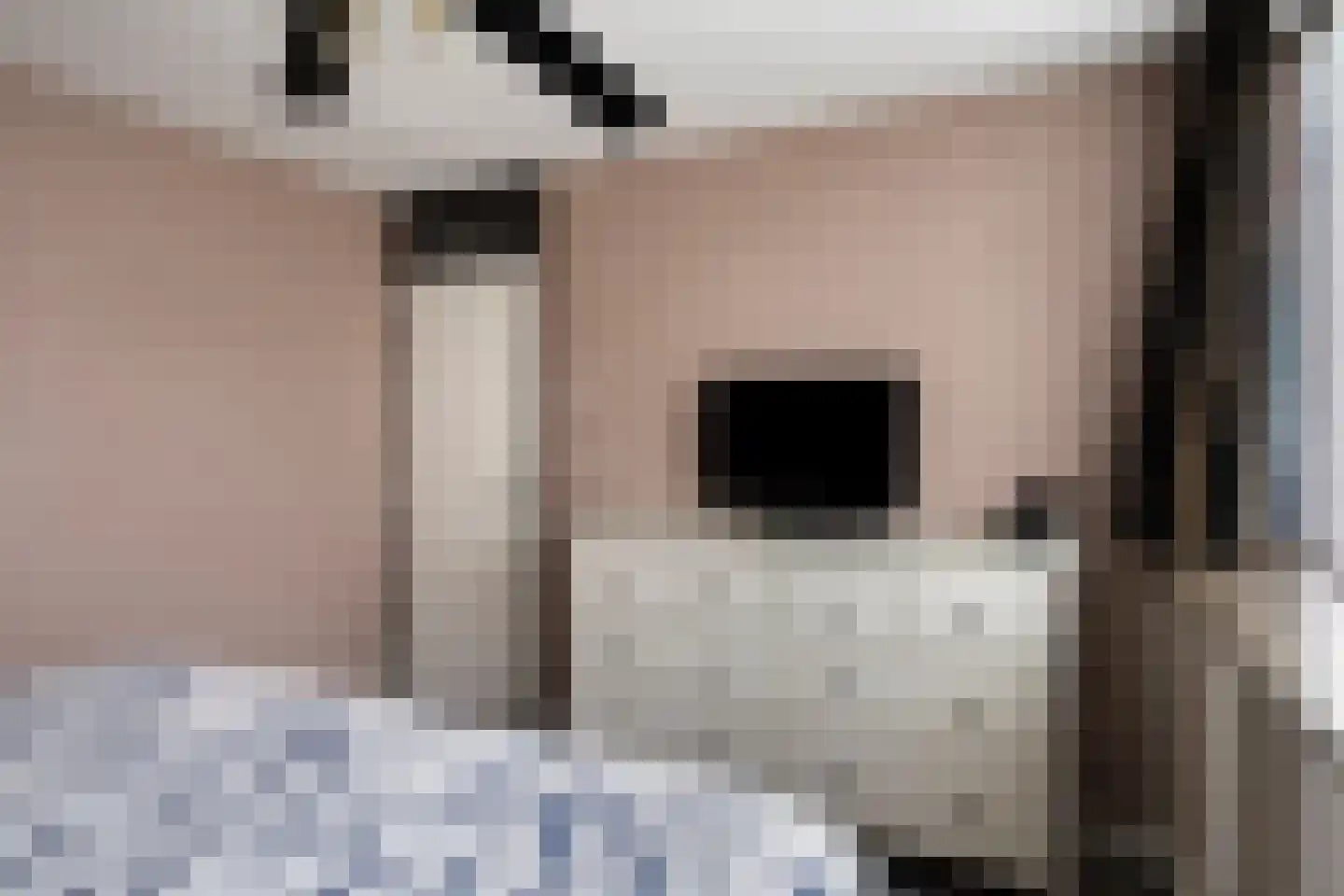 van Cruiningenweg 33 Heenvliet thumbnail 19