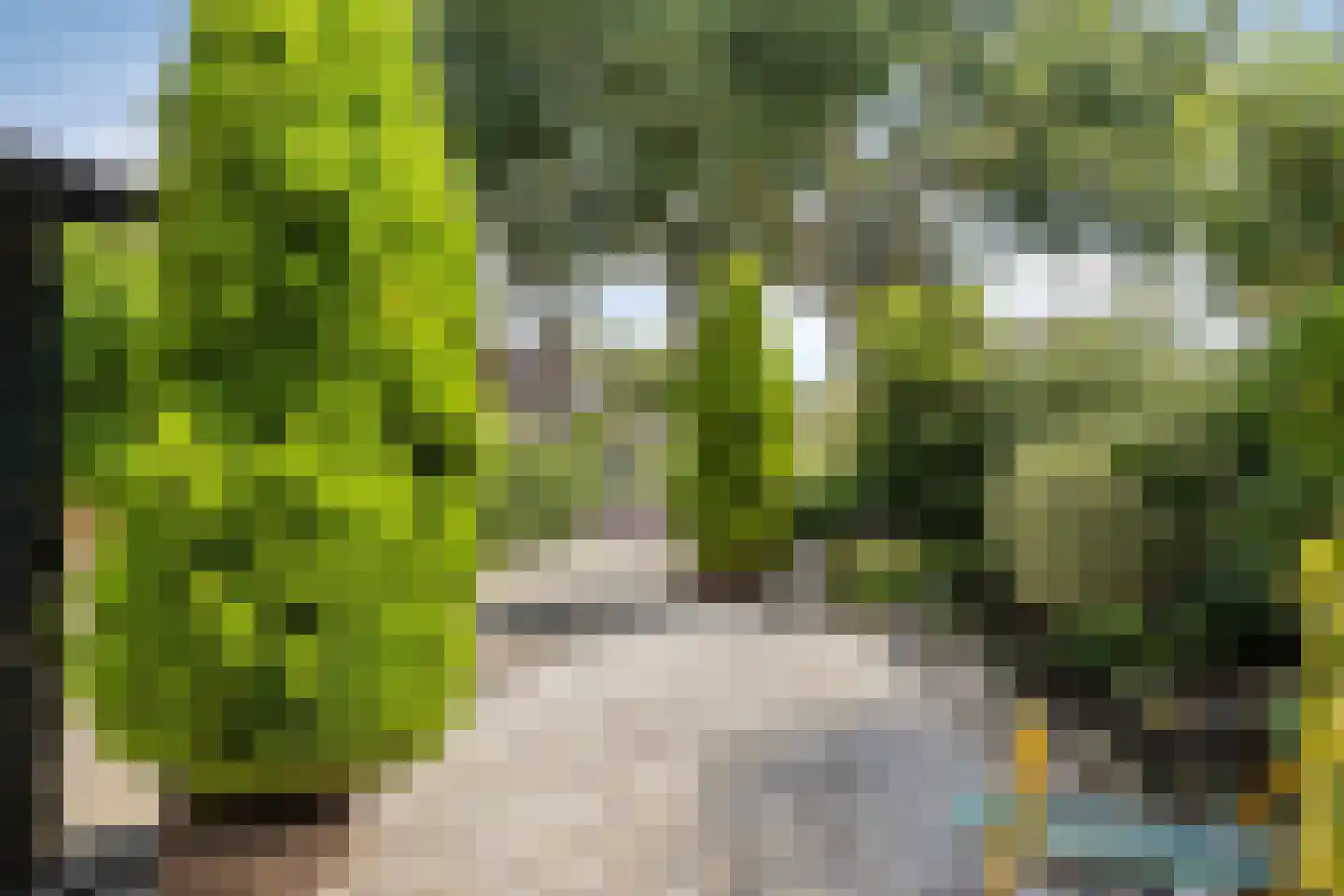 van Cruiningenweg 33 Heenvliet thumbnail 31