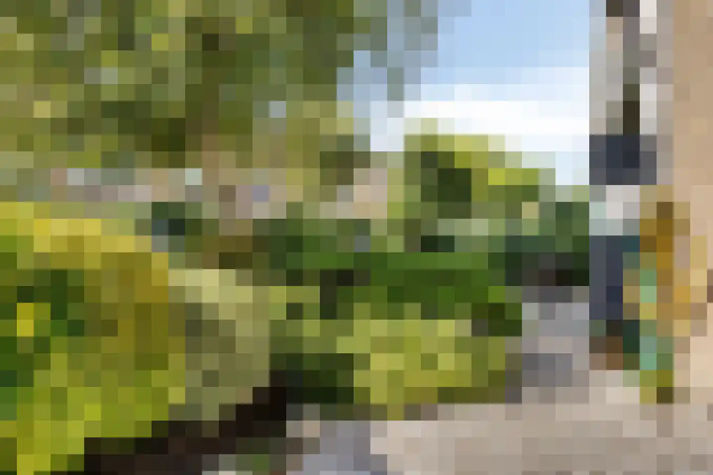 van Cruiningenweg 33 Heenvliet thumbnail 34