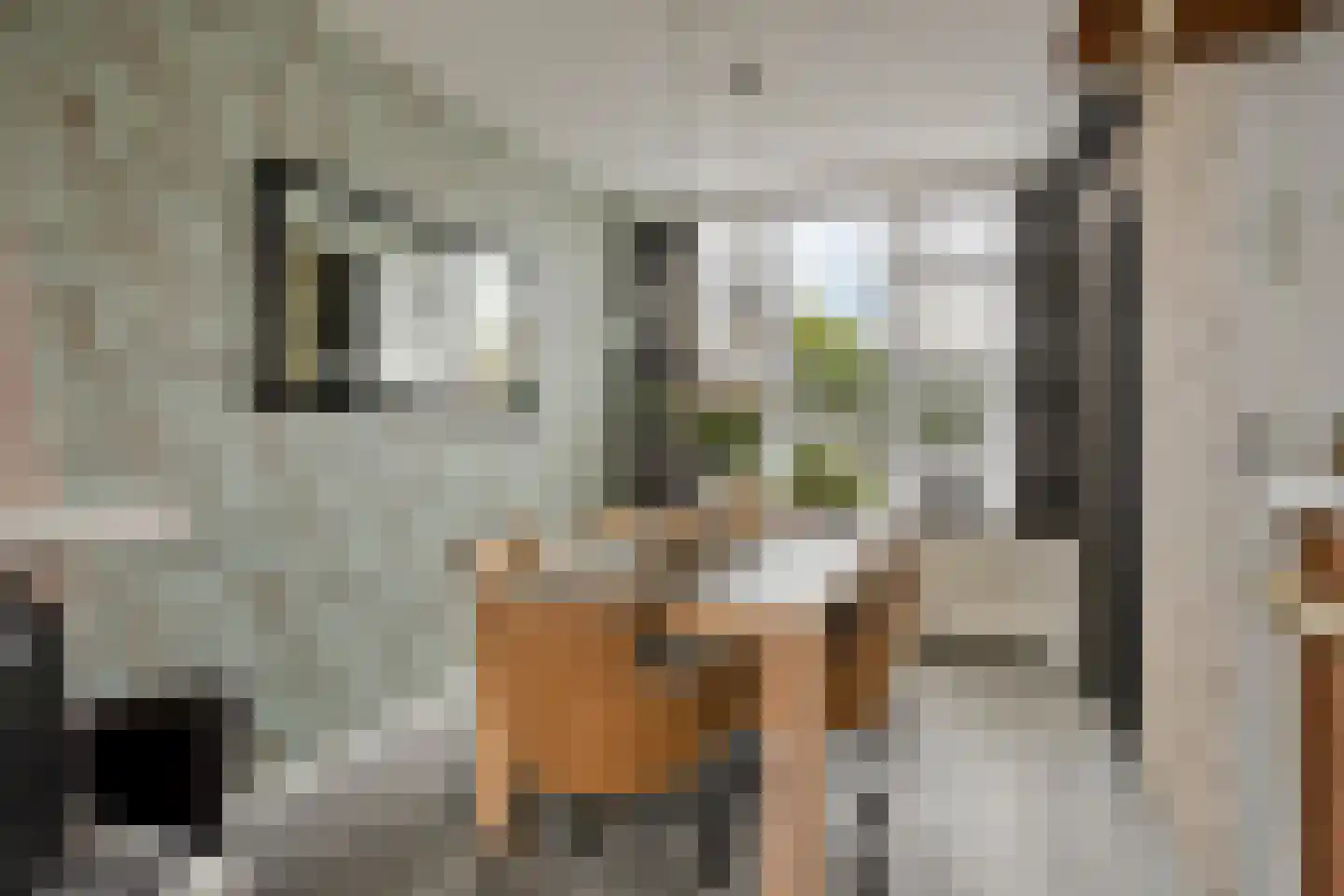 van Cruiningenweg 33 Heenvliet thumbnail 8