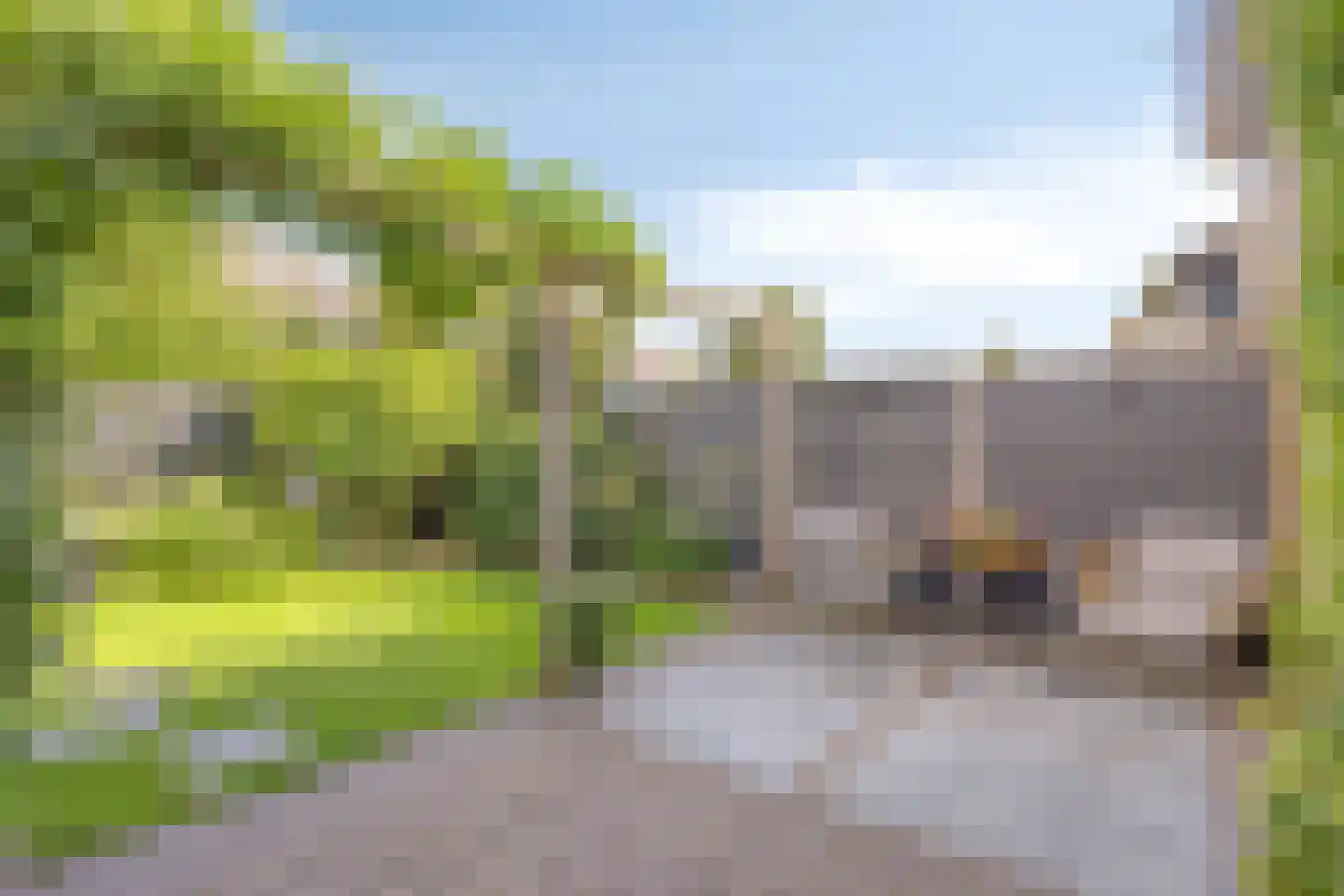 van Culemborglaan 13 Renswoude thumbnail 26
