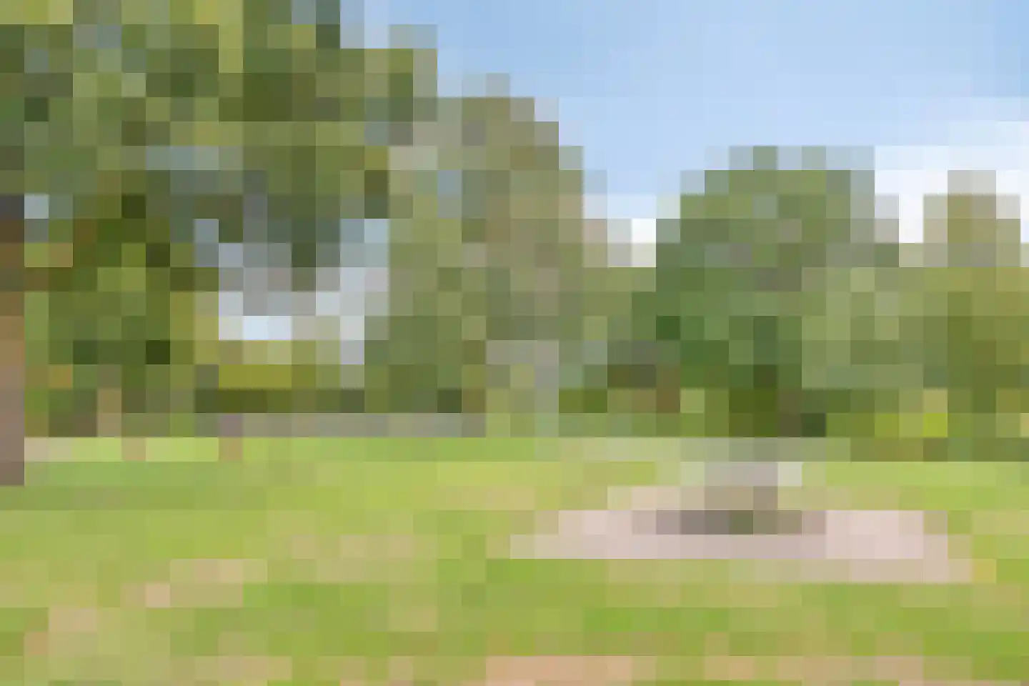 van Culemborglaan 13 Renswoude thumbnail 33