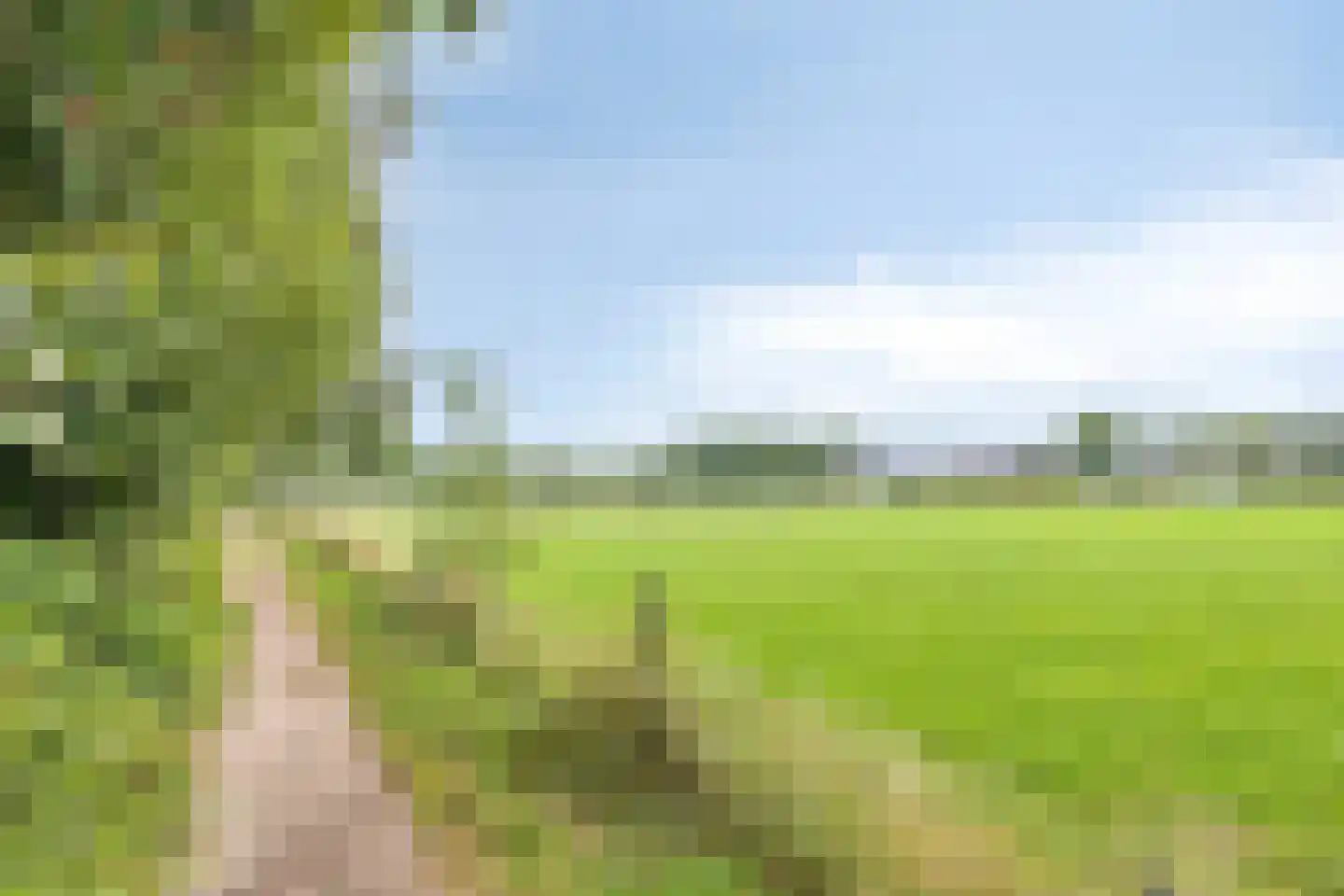 van Culemborglaan 13 Renswoude thumbnail 34