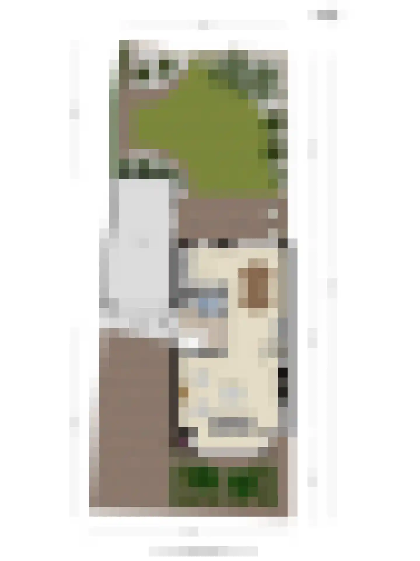 van Culemborglaan 13 Renswoude thumbnail 38
