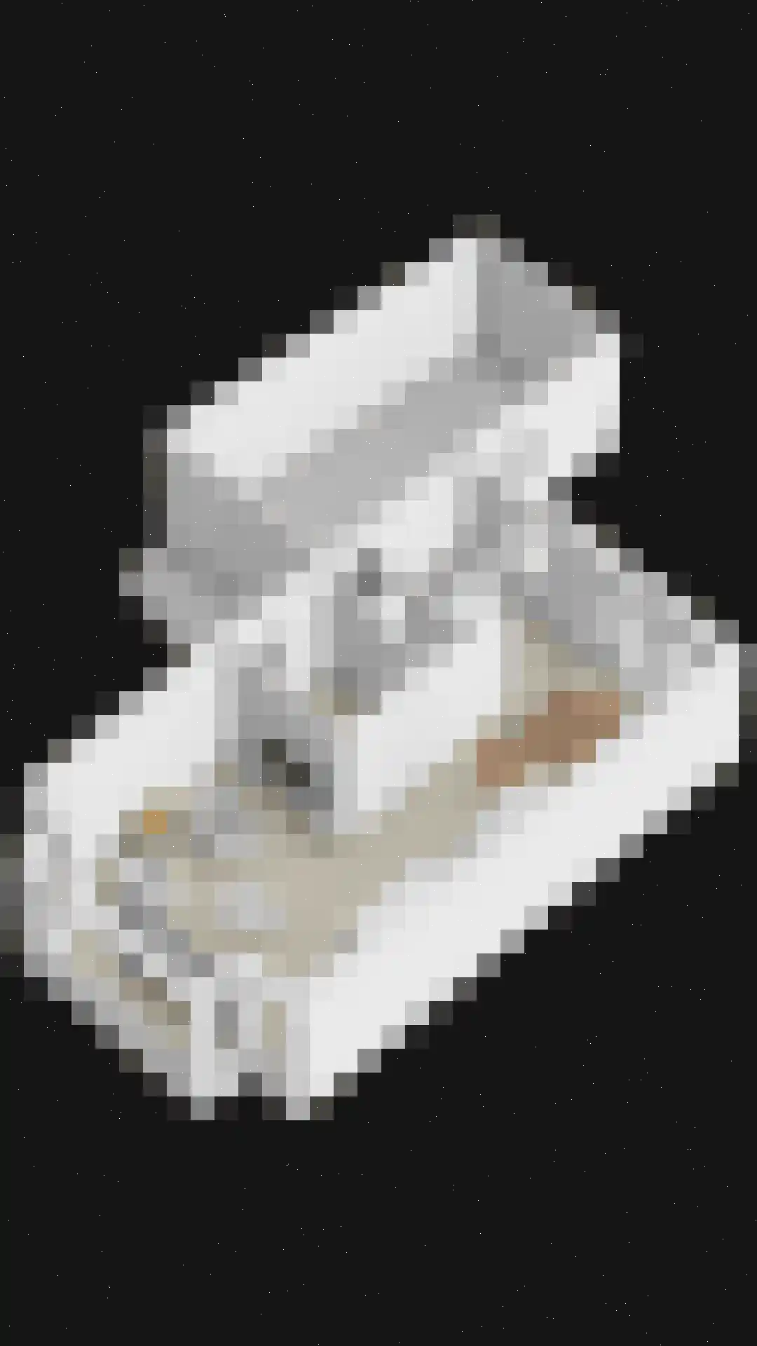 van Culemborglaan 13 Renswoude thumbnail 39