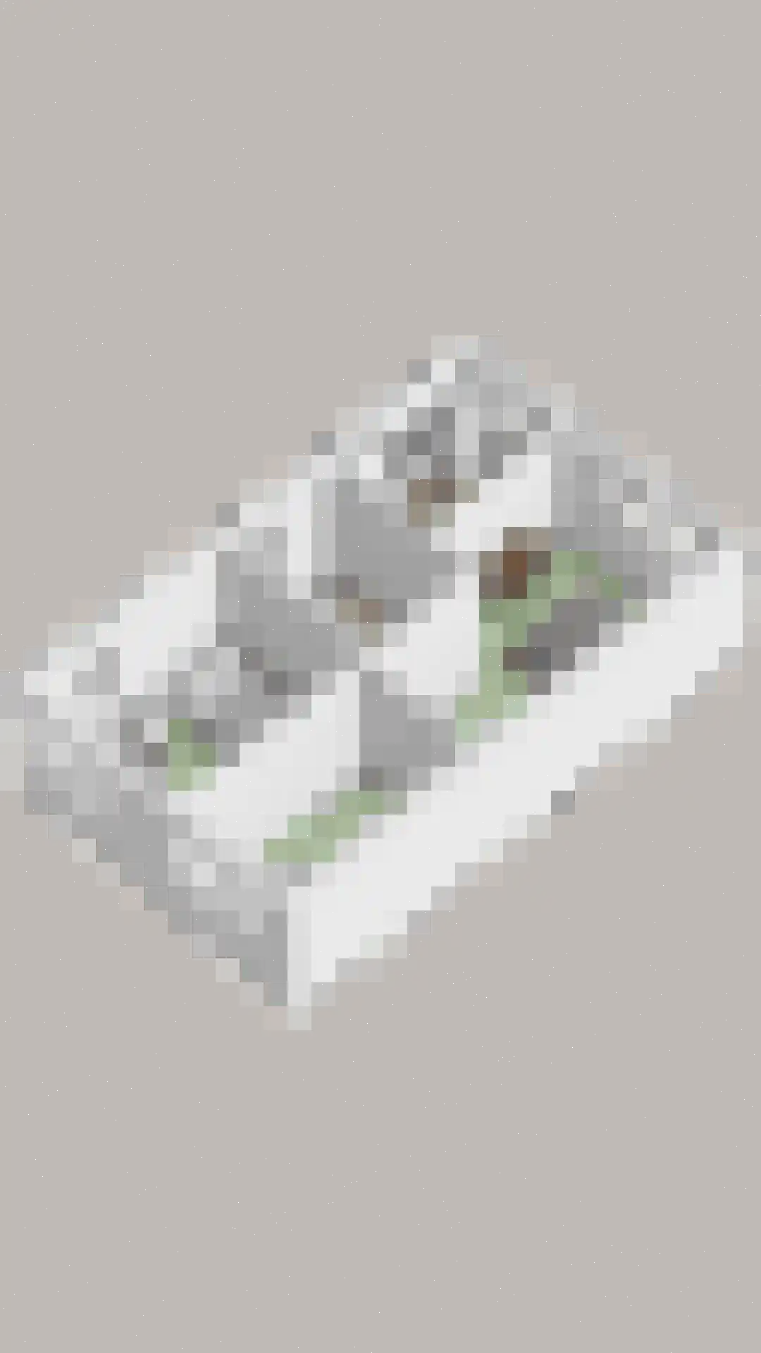 van Culemborglaan 13 Renswoude thumbnail 40