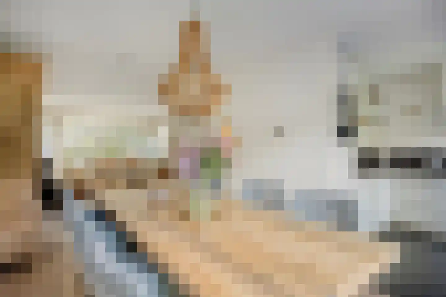 van Culemborglaan 13 Renswoude thumbnail 8