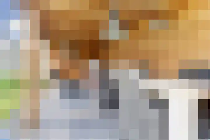 van Culemborglaan 7 Renswoude thumbnail 20
