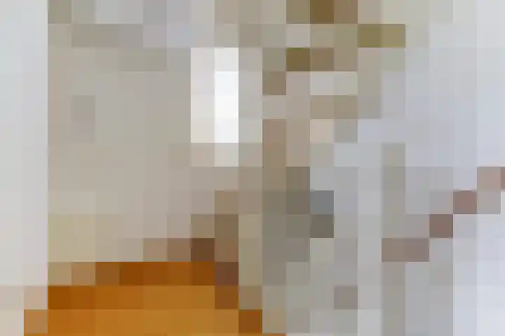 van Culemborglaan 7 Renswoude thumbnail 24