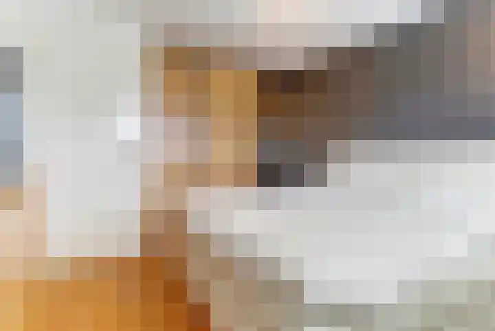 van Culemborglaan 7 Renswoude thumbnail 27