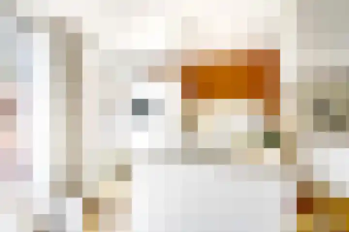 van Cuycklaan 9 Oegstgeest thumbnail 17