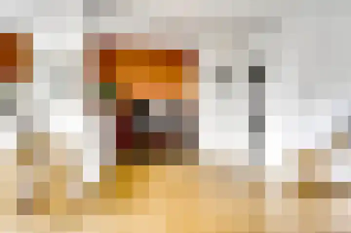 van Cuycklaan 9 Oegstgeest thumbnail 23