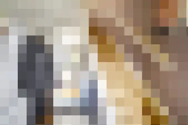 van Cuycklaan 9 Oegstgeest thumbnail 24