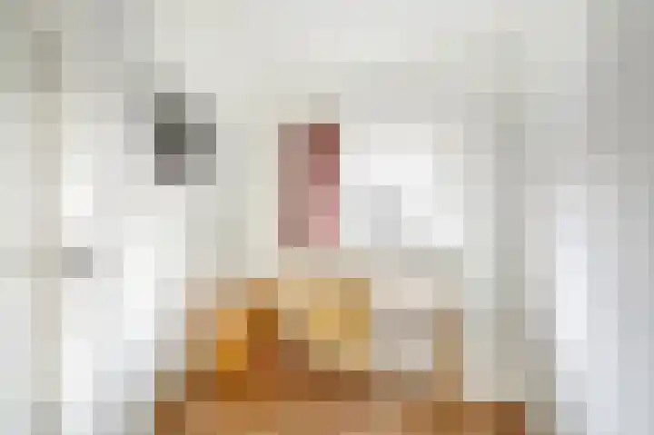 van Cuycklaan 9 Oegstgeest thumbnail 30