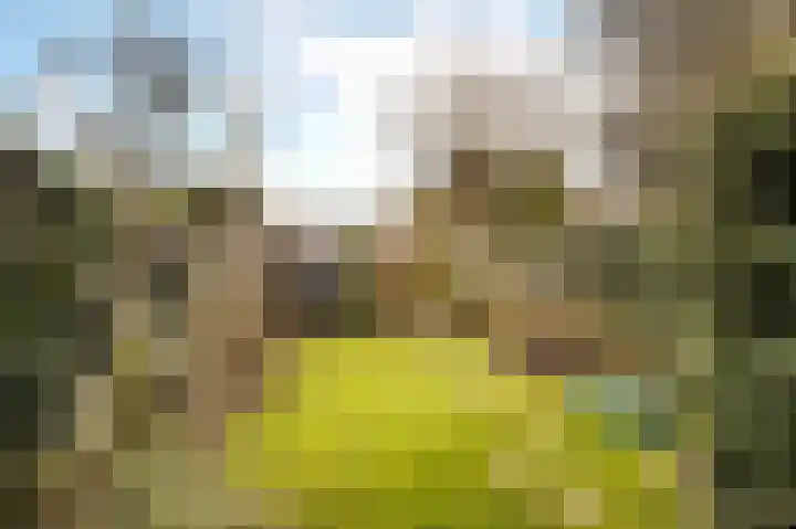 van Cuycklaan 9 Oegstgeest thumbnail 35