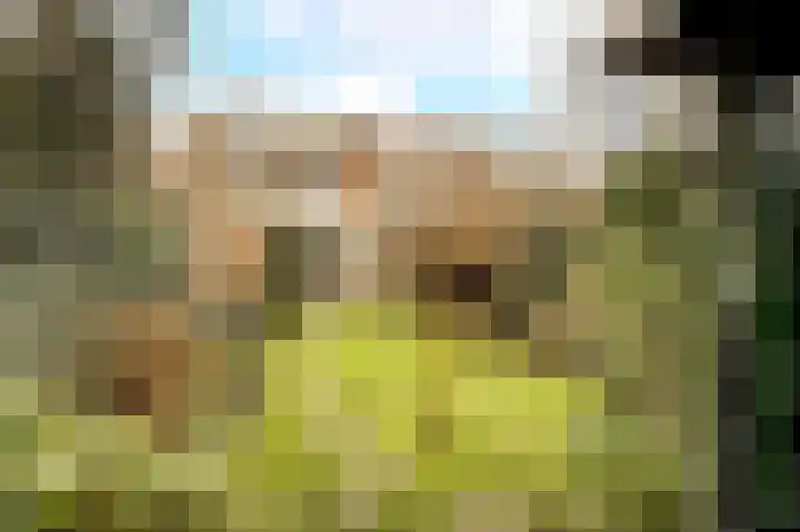 van Cuycklaan 9 Oegstgeest thumbnail 36