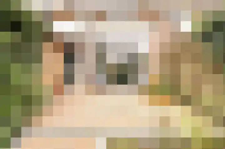 van Cuycklaan 9 Oegstgeest thumbnail 37