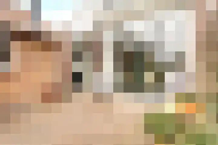 van Cuycklaan 9 Oegstgeest thumbnail 38