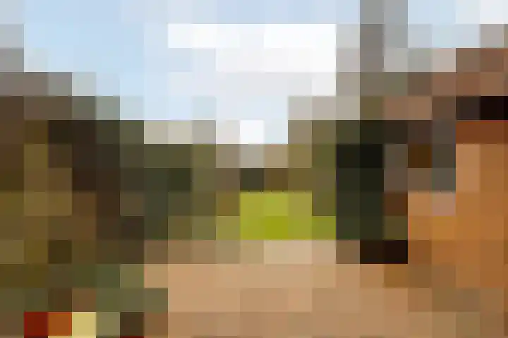 van Cuycklaan 9 Oegstgeest thumbnail 39