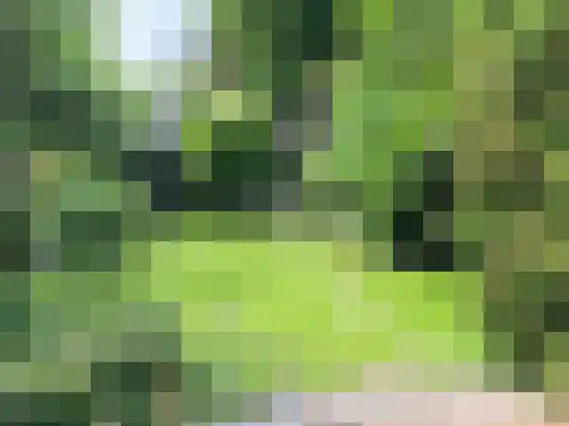 van Cuycklaan 9 Oegstgeest thumbnail 42