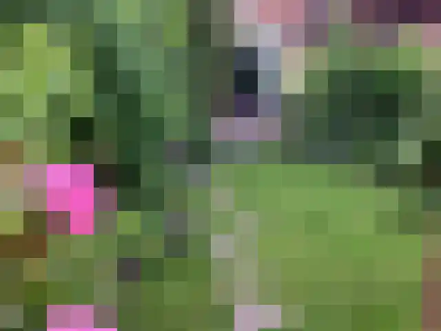 van Cuycklaan 9 Oegstgeest thumbnail 43