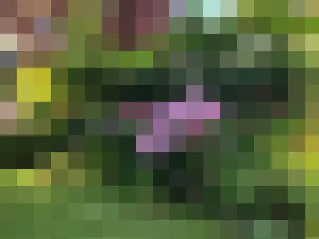 van Cuycklaan 9 Oegstgeest thumbnail 44