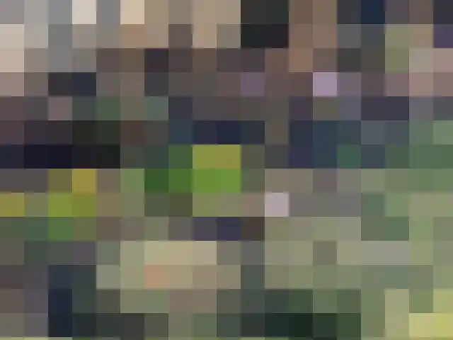 van Cuycklaan 9 Oegstgeest thumbnail 45