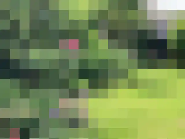 van Cuycklaan 9 Oegstgeest thumbnail 46