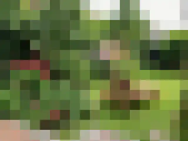 van Cuycklaan 9 Oegstgeest thumbnail 47
