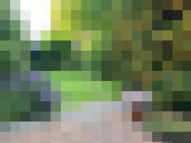 van Cuycklaan 9 Oegstgeest thumbnail 48