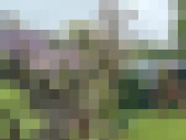 van Cuycklaan 9 Oegstgeest thumbnail 49