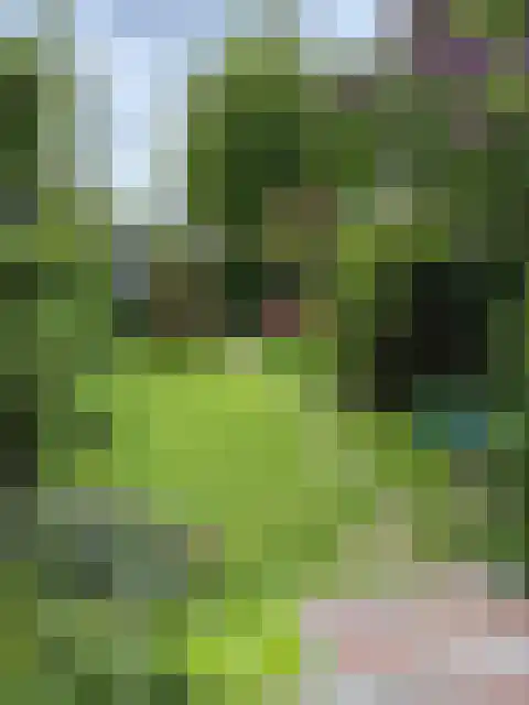 van Cuycklaan 9 Oegstgeest thumbnail 50