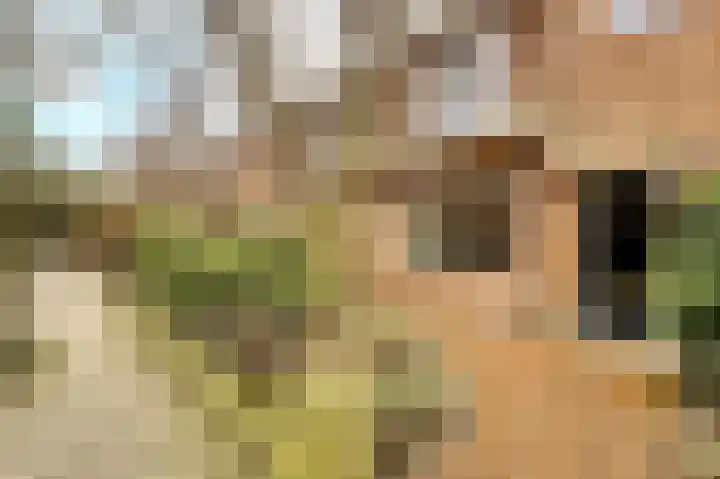 van Cuycklaan 9 Oegstgeest thumbnail 6