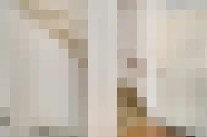 Van Cuykweg 3 Herten thumbnail 11