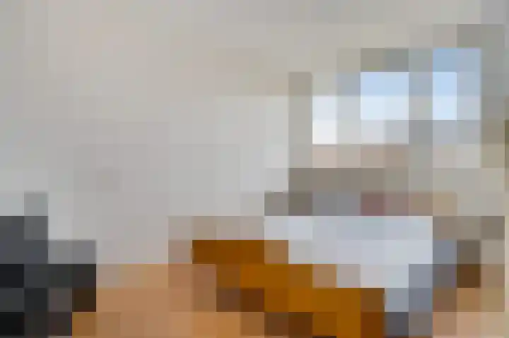 Van Cuykweg 3 Herten thumbnail 12