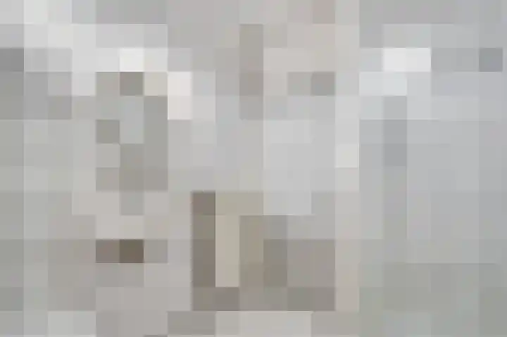 Van Cuykweg 3 Herten thumbnail 16