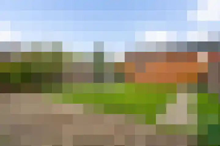 Van Cuykweg 3 Herten thumbnail 19