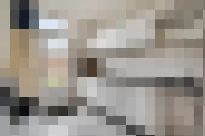 Van Cuykweg 3 Herten thumbnail 9