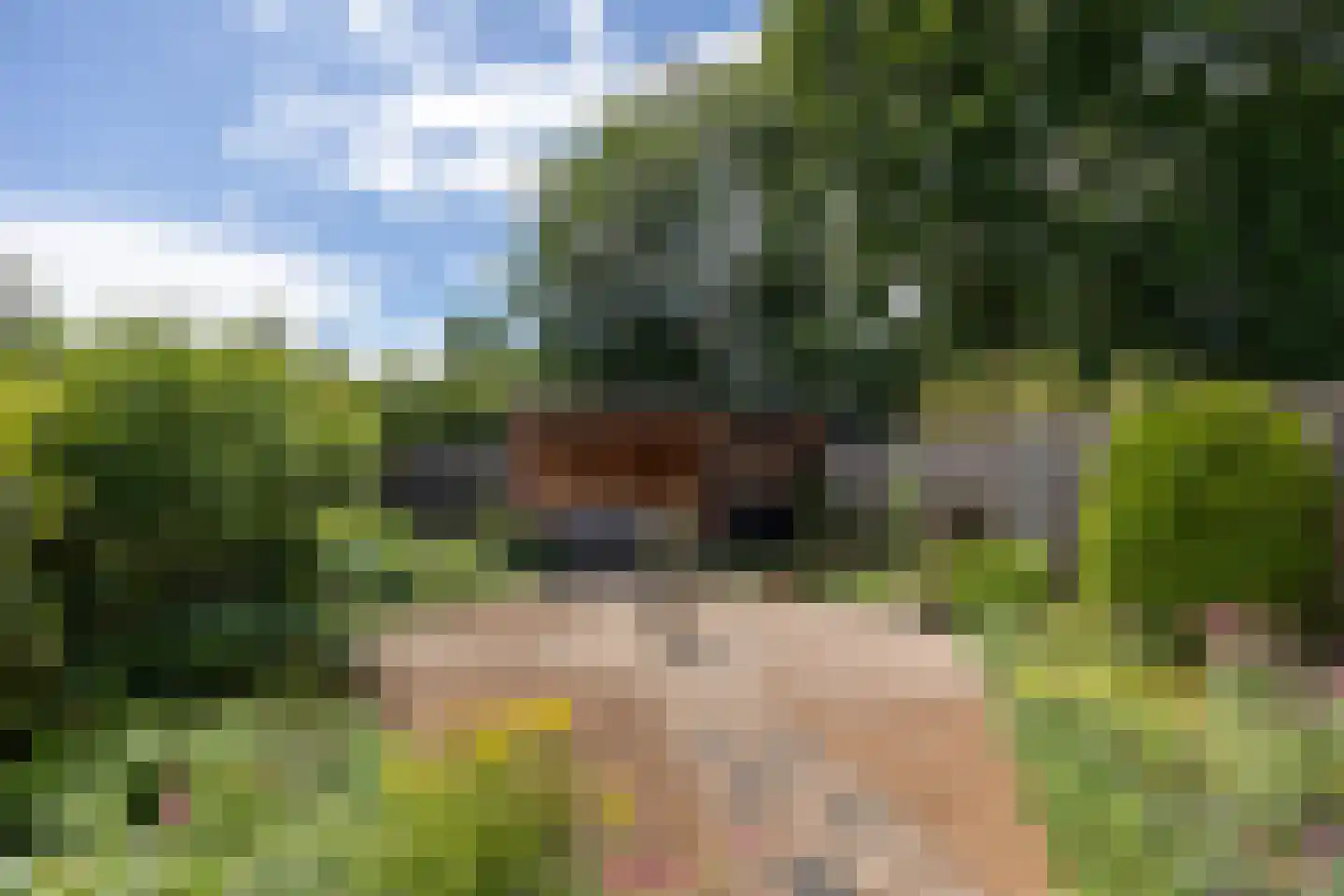 Van Daatselaarhof 26 Leusden thumbnail 30