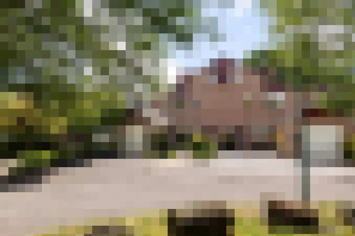 Van Daatselaarhof 26 Leusden thumbnail 38