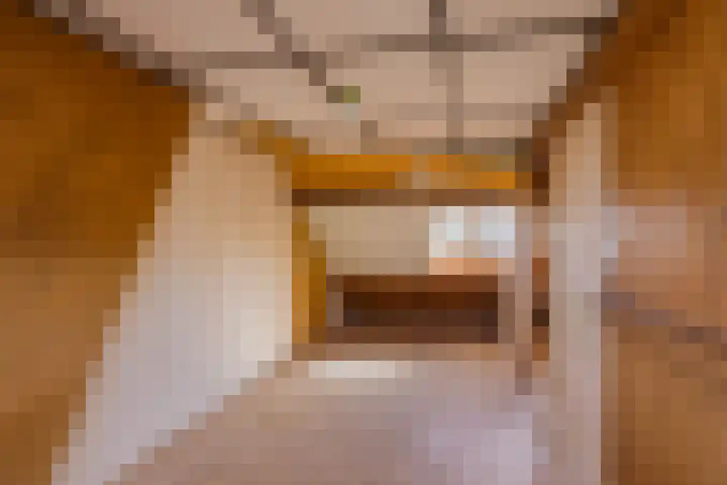 Van Dalenlaan 35 Santpoort-Zuid thumbnail 39