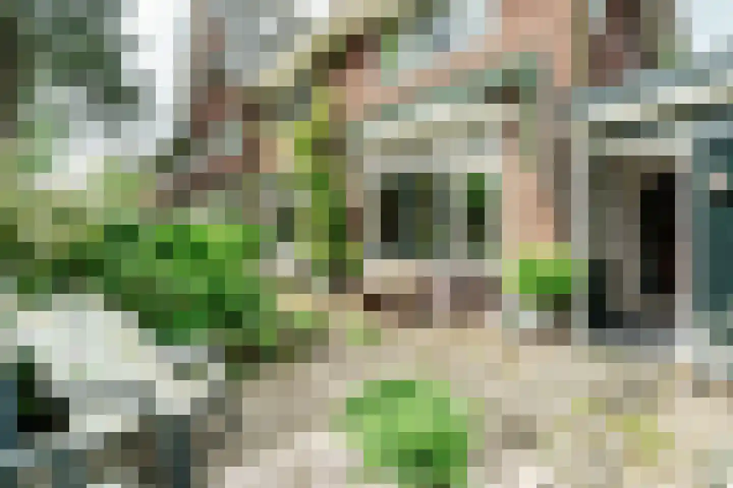 Van Dalenlaan 55 Santpoort-Zuid foto 3